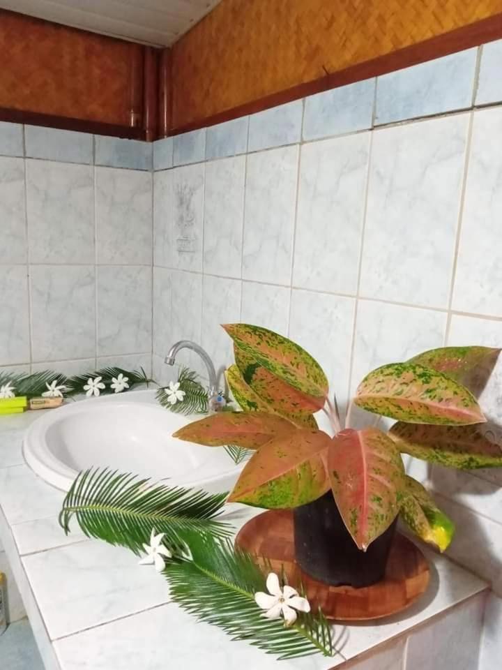 Bed and Breakfast Maupiti Authentique Te-Fare-Arii Esterno foto